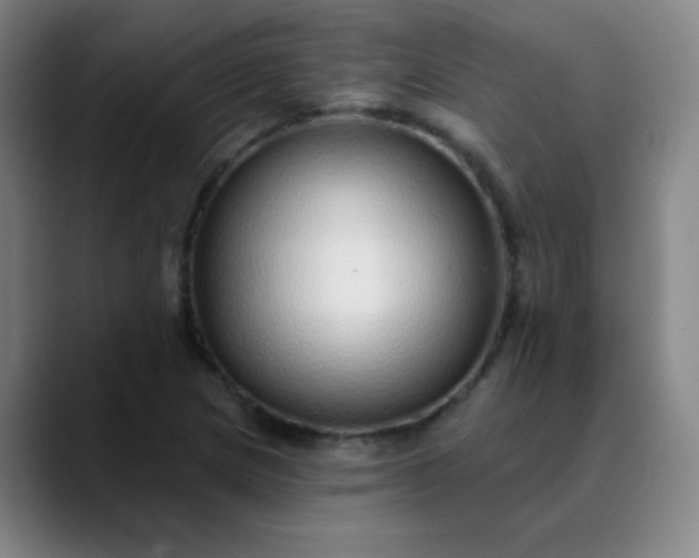 X0000089881217200707121806