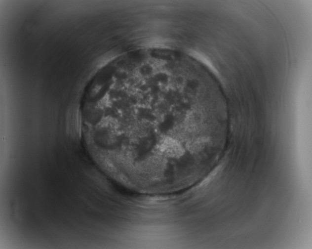 X0000089881219200707121806