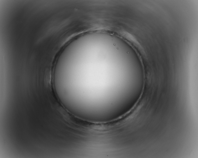 X0000089881220200707121806