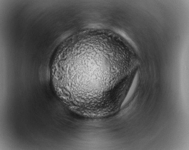 X0000089881221200707121806