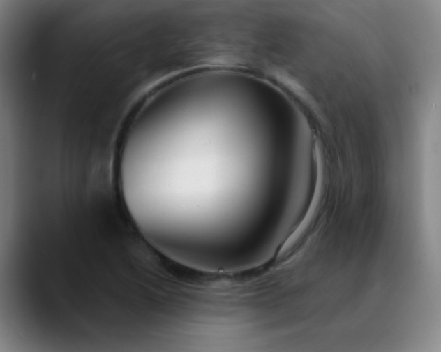 X0000089881222200707121806