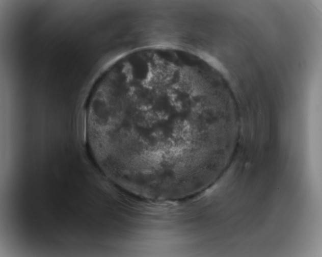 X0000089881223200707121806