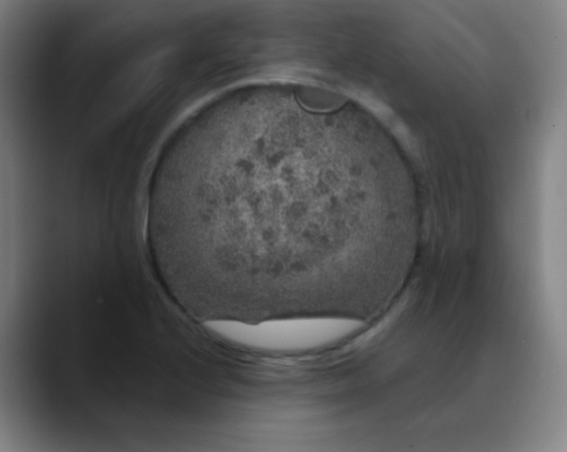 X0000089881224200707121806