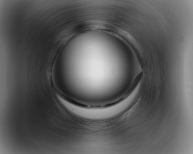 X0000089881225200707121806