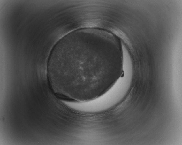 X0000089881226200707121806