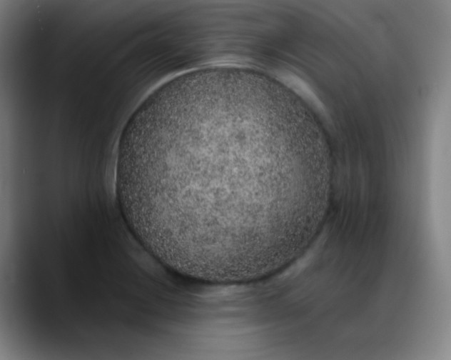 X0000089881228200707121806