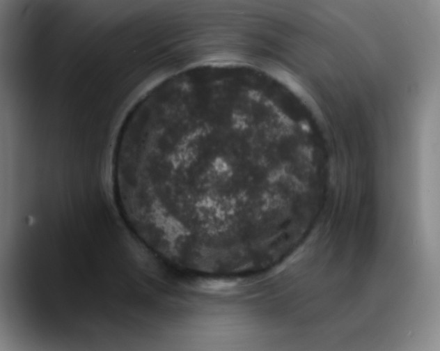 X0000089881229200707121806