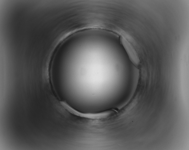 X0000089881230200707121806