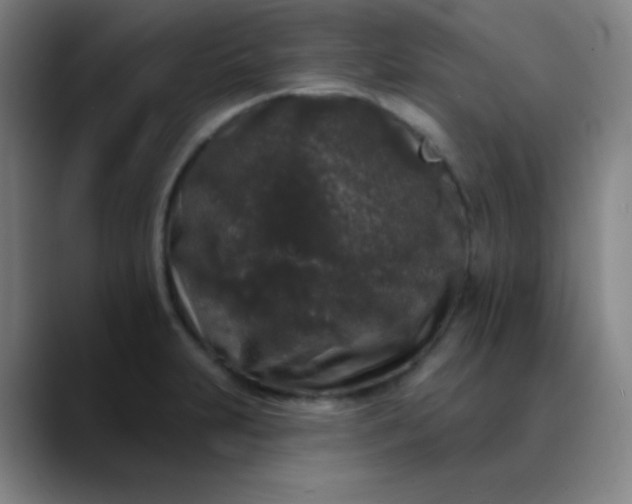 X0000089881231200707121806