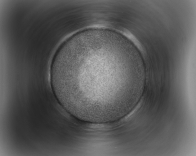 X0000089881232200707121806