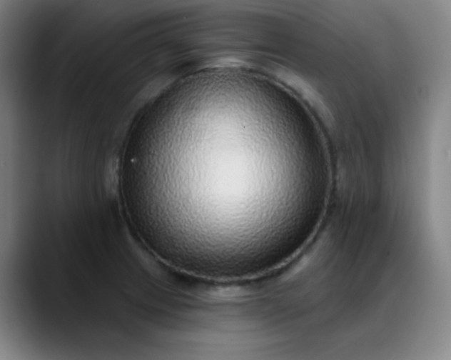 X0000089881233200707121806