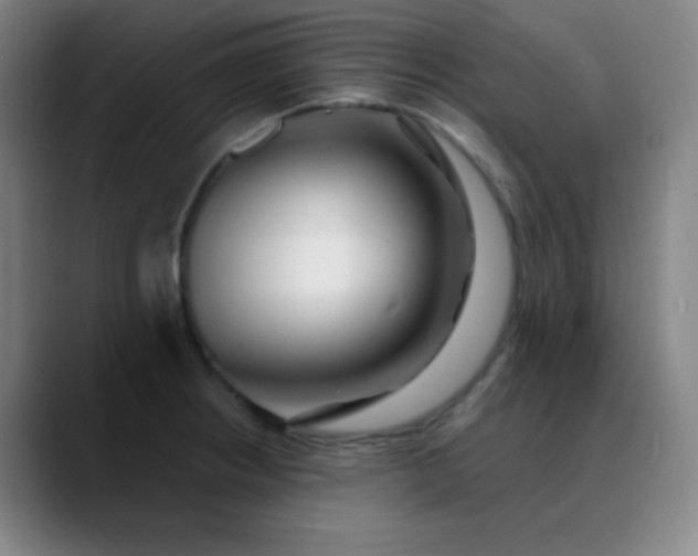 X0000089881234200707121806