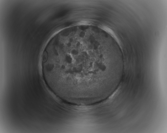 X0000089881235200707121806