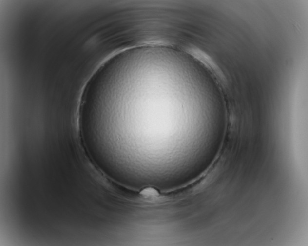 X0000089881236200707121806