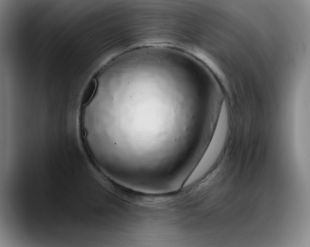 X0000089881237200707121806