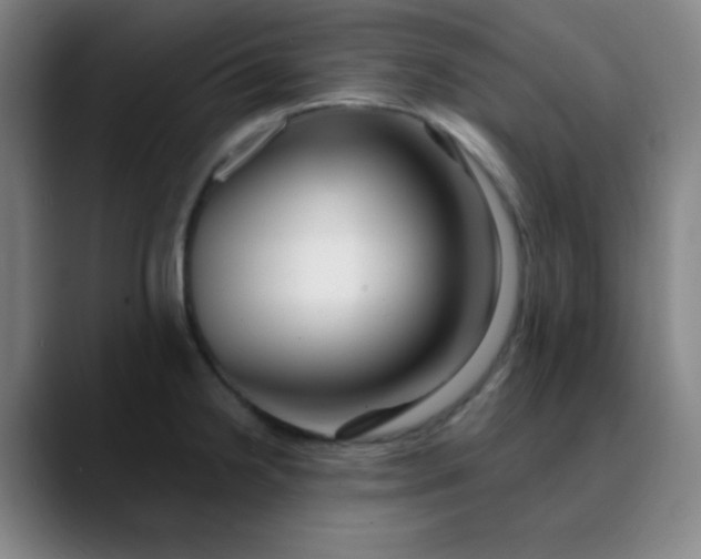 X0000089881238200707121806