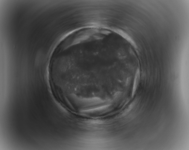 X0000089881239200707121807