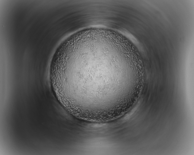 X0000089881240200707121807