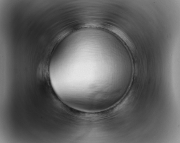 X0000089881241200707121807