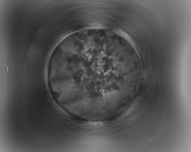 X0000089881243200707121807