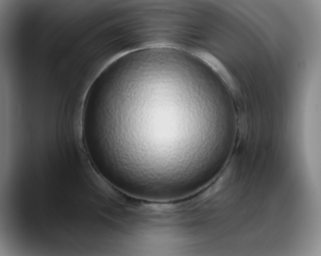 X0000089881244200707121807