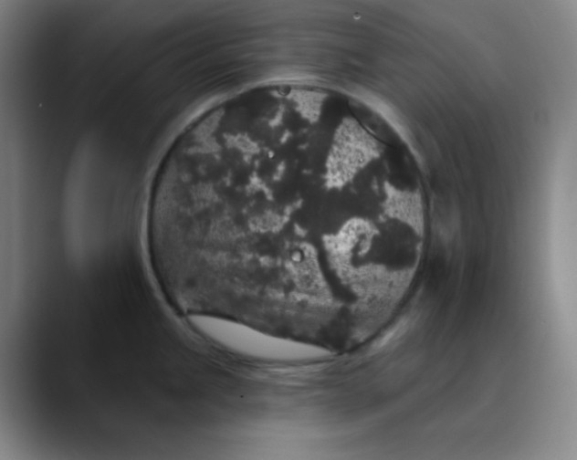 X0000089881245200707121807