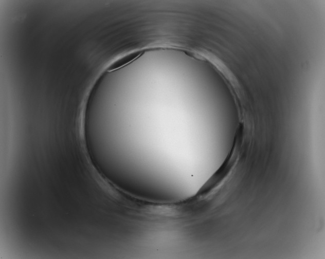 X0000089881246200707121807