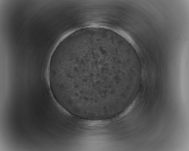 X0000089881247200707121807