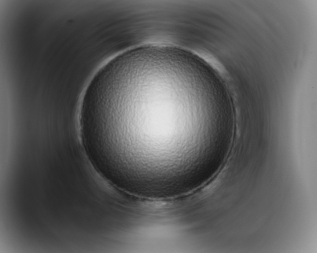 X0000089881248200707121807