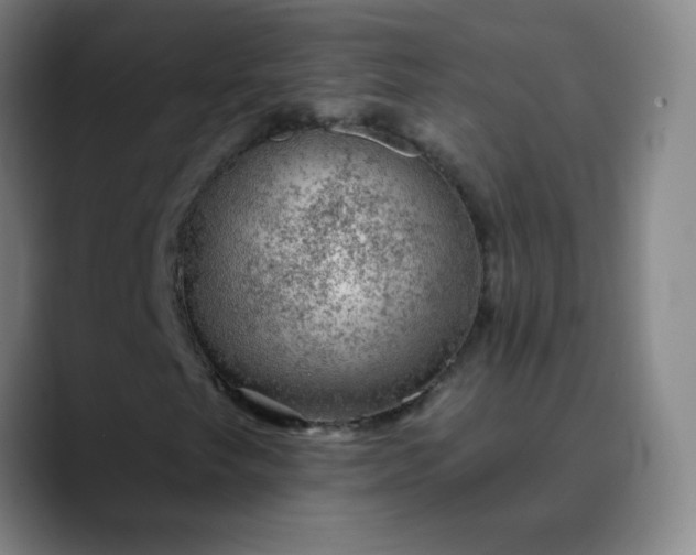 X0000089881249200707121806