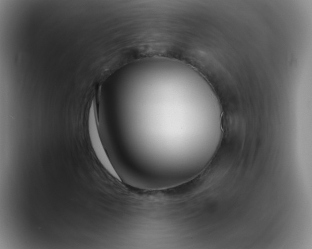 X0000089881250200707121806