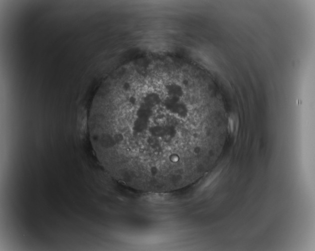 X0000089881251200707121806