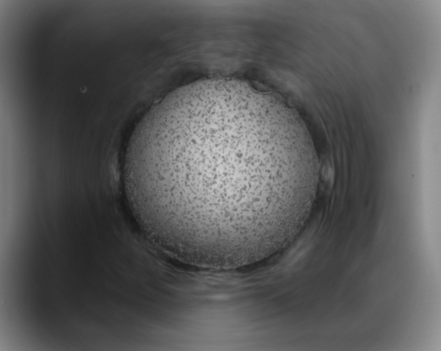 X0000089881252200707121806