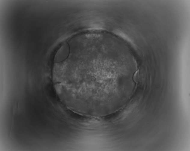 X0000089881255200707121806