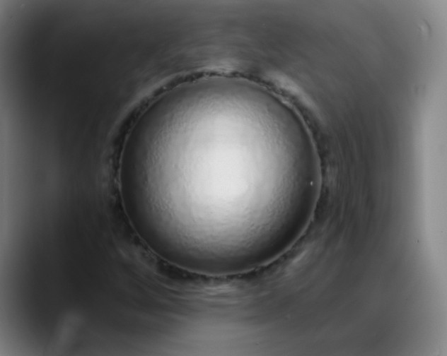 X0000089881256200707121806