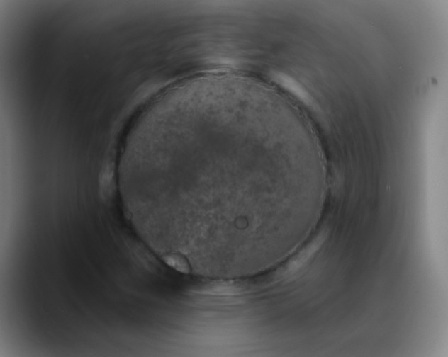 X0000089881259200707121806