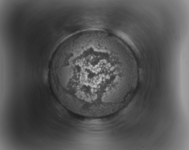 X0000089881260200707121806