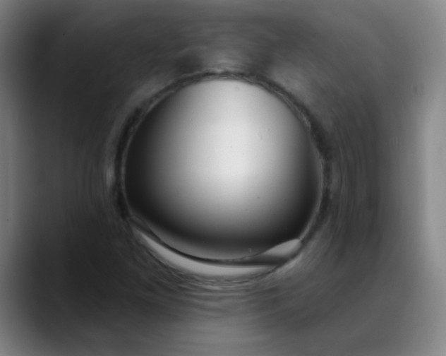 X0000089881261200707121806