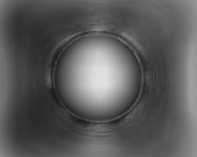 X0000089881262200707121806