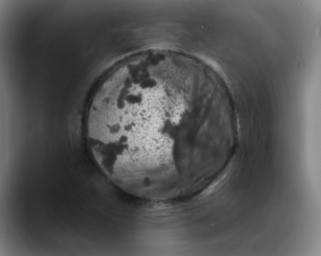 X0000089881263200707121806