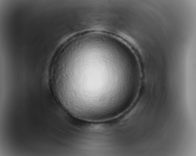 X0000089881264200707121806