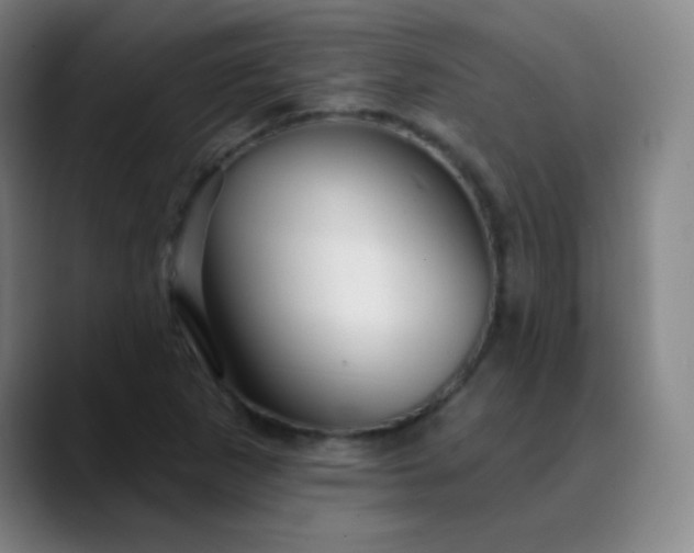 X0000089881265200707121806