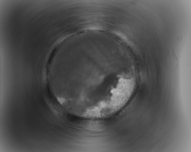 X0000089881266200707121806