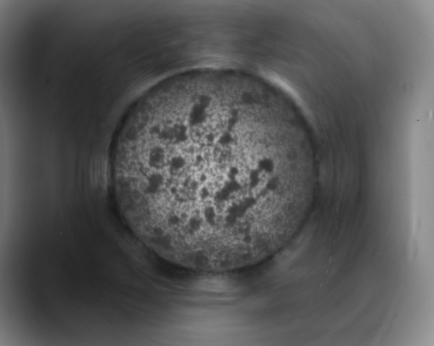 X0000089881267200707121806