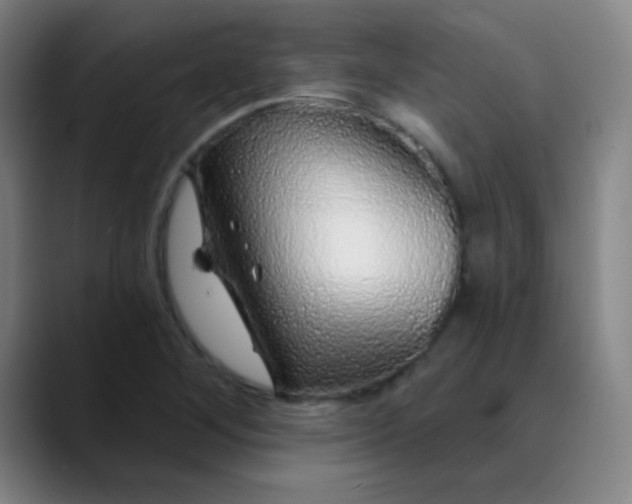 X0000089881268200707121806