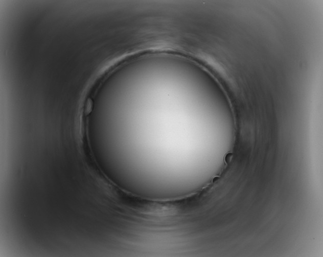 X0000089881270200707121806