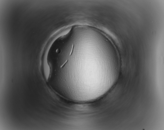 X0000089881272200707121806