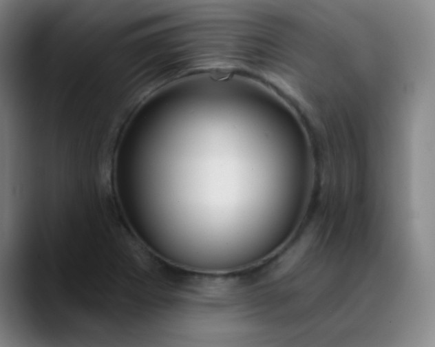 X0000089881273200707121806