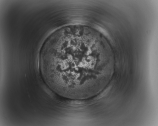 X0000089881275200707121806