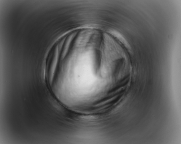 X0000089881276200707121806